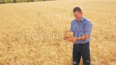 <strong>老农</strong>夫面包师拿着一个金色的面包和面包在成熟的麦田。 慢动作录像。 收获生活方式的时间。 老了